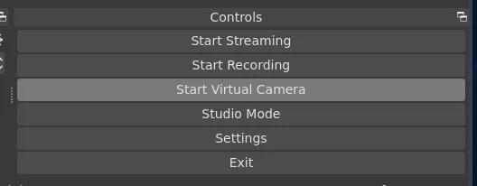 Start Virtual Camera button